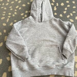 Zara Gray Kids Hoodie